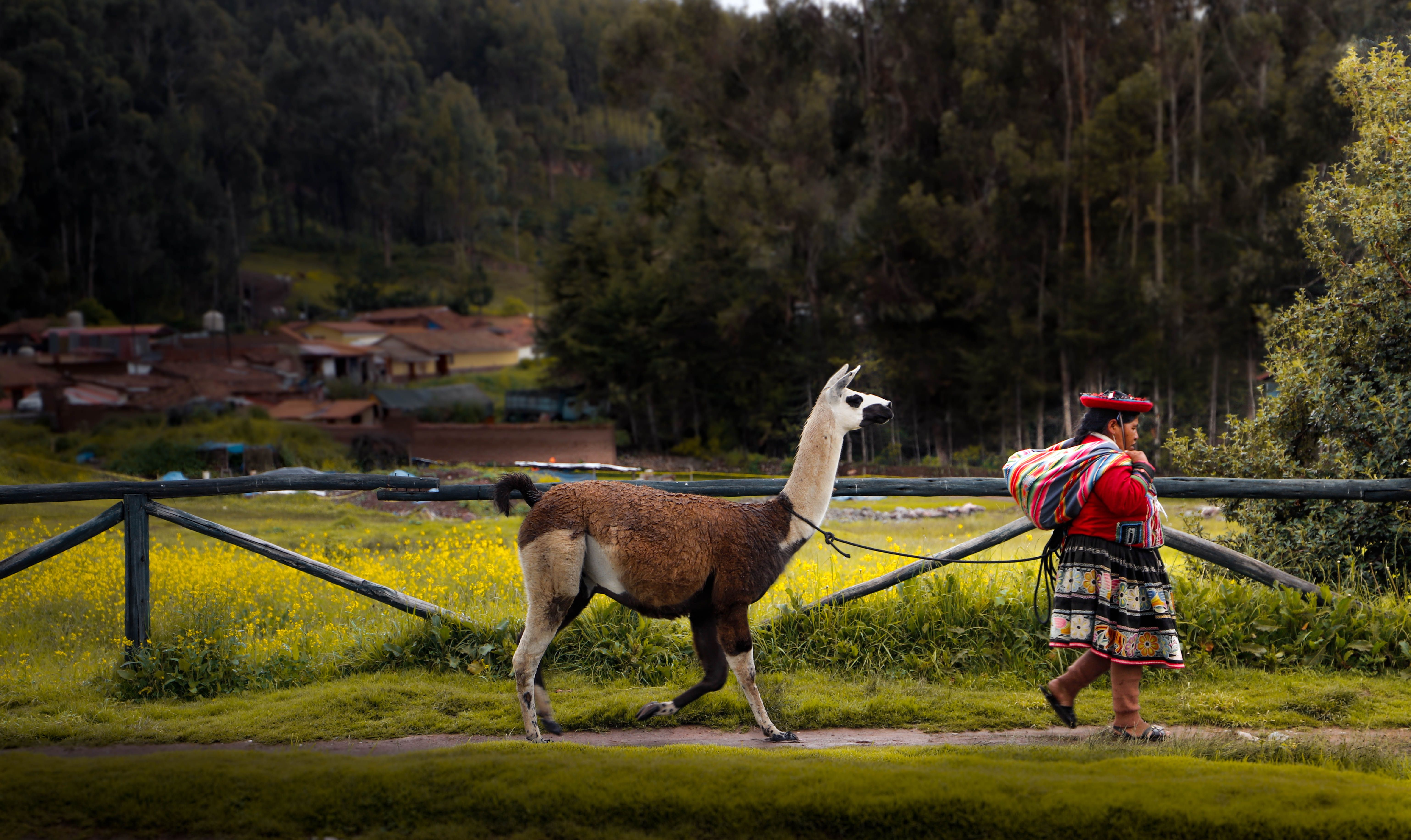 PERÚ ESPECIAL