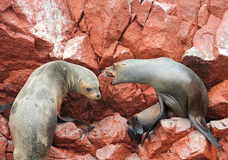 MARAVILLAS DEL PERÚ