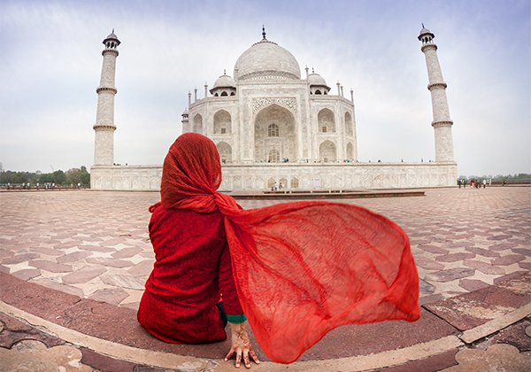 INDIA SAGRADA PC (TODAS LAS COMPAÑÍAS) EXCLUSIVO