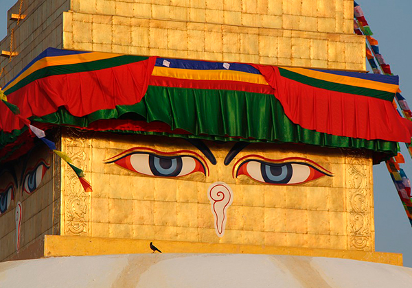 INDIA SAGRADA PC (TODAS LAS COMPAÑÍAS) EXCLUSIVO