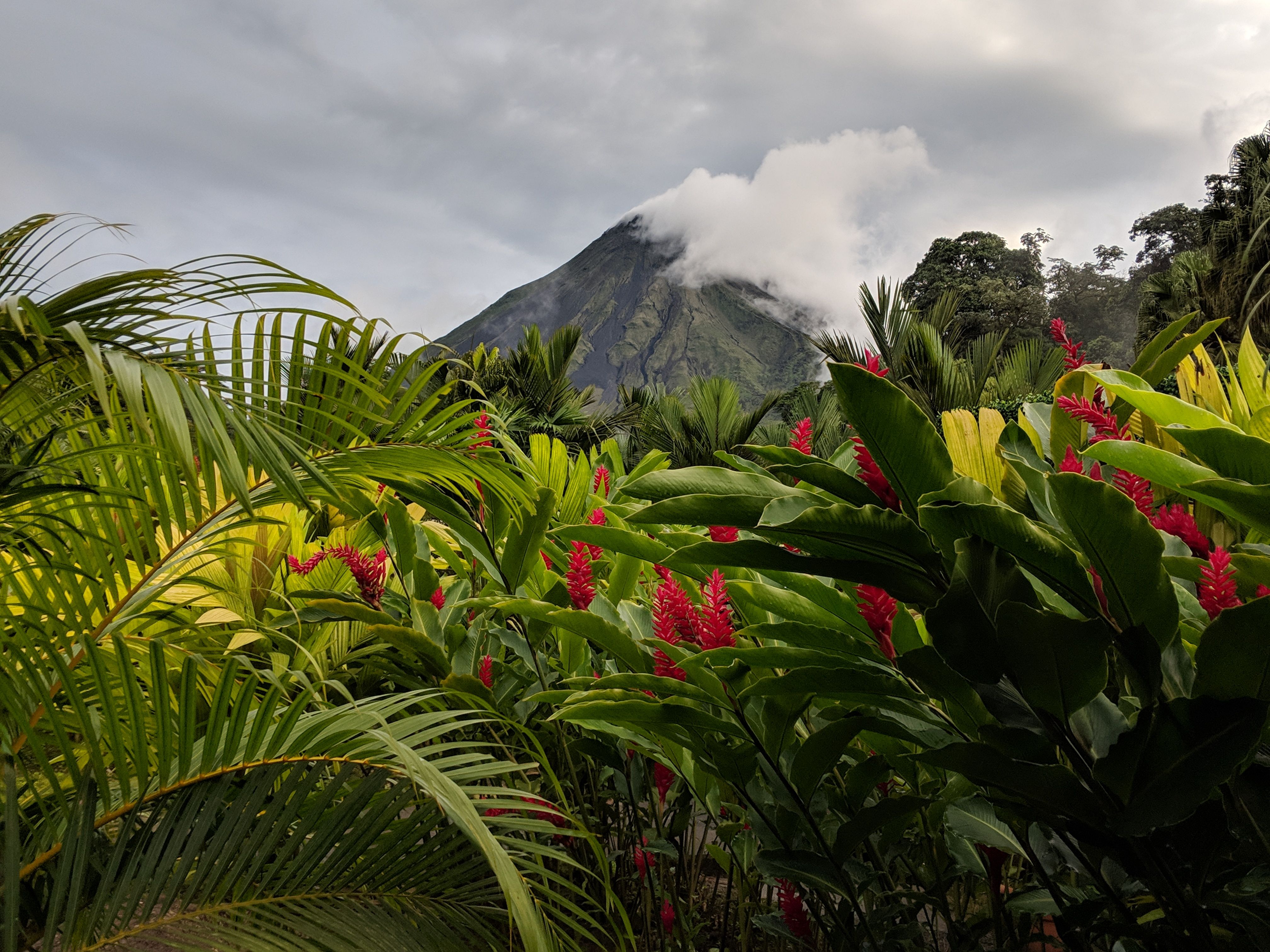 TODO COSTA RICA Y PLAYAS DEL PACÍFICO NORTE