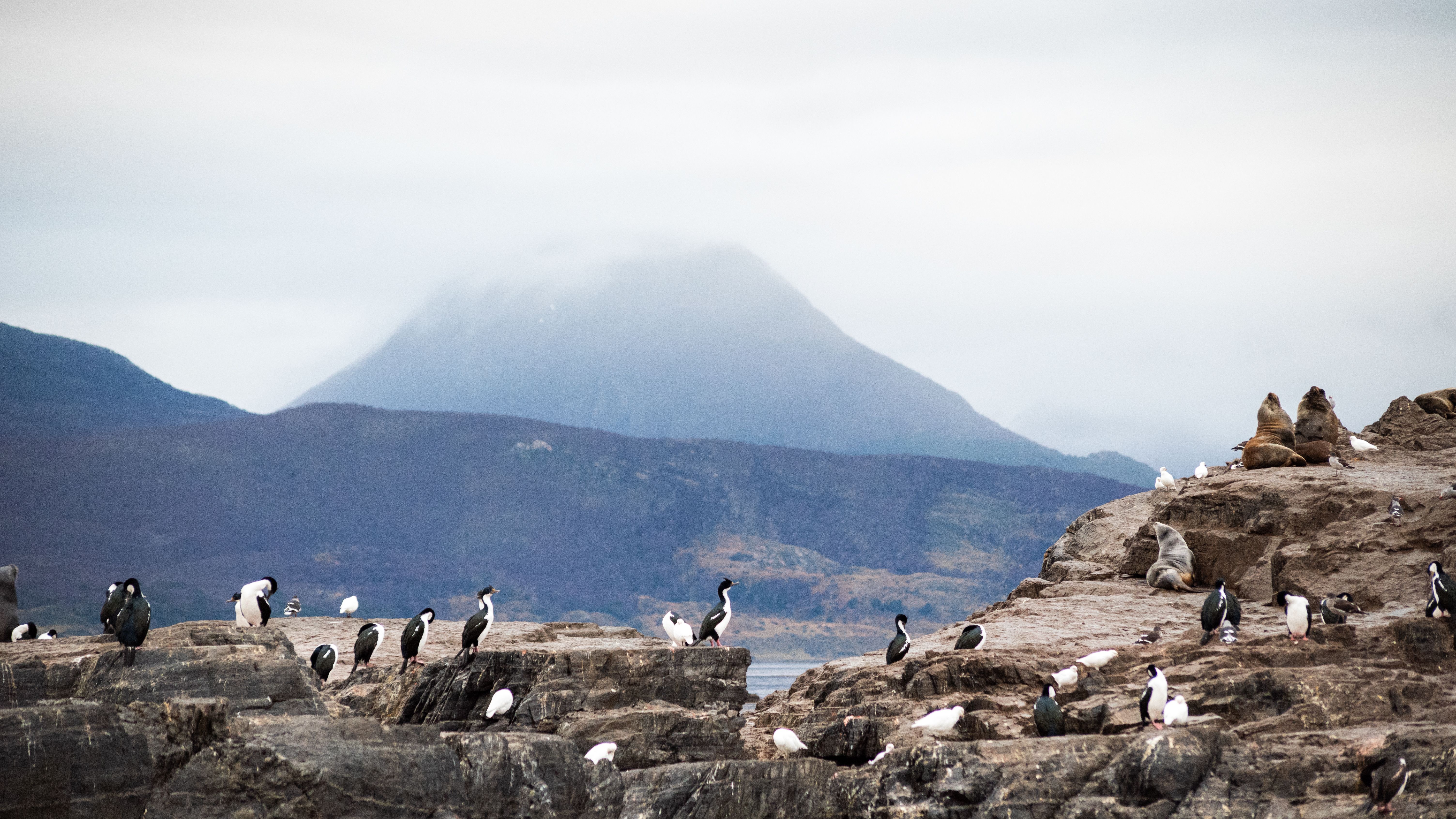 BELLEZAS DE LA PATAGONIA