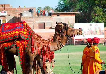 RAJASTHAN AL COMPLETO(TODAS LAS COMPAÑÍAS) EXCLUSIVO