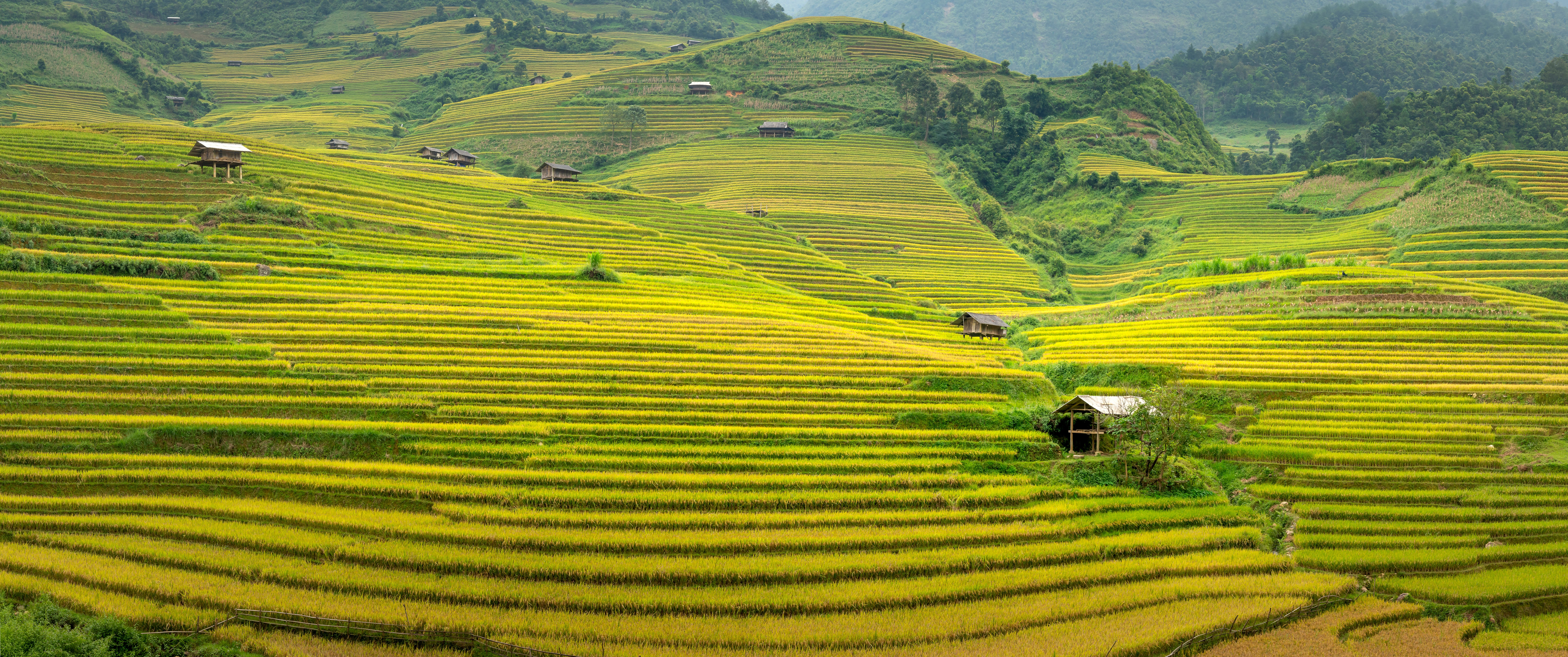 ESENCIA DE VIETNAM Y SAPA